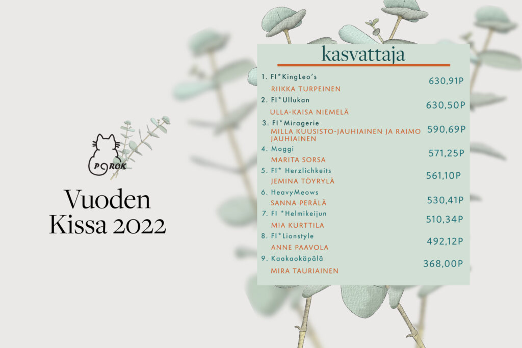 porok vuoden kissa 2022 kasvattaja