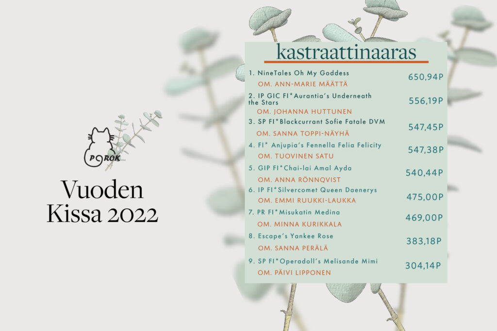 porok vuoden kissa 2022 kastraattinaaras