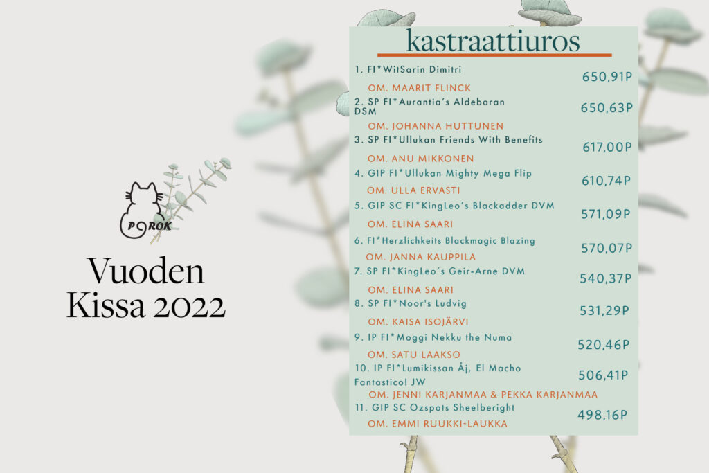 porok vuoden kissa 2022 kastraattiuros