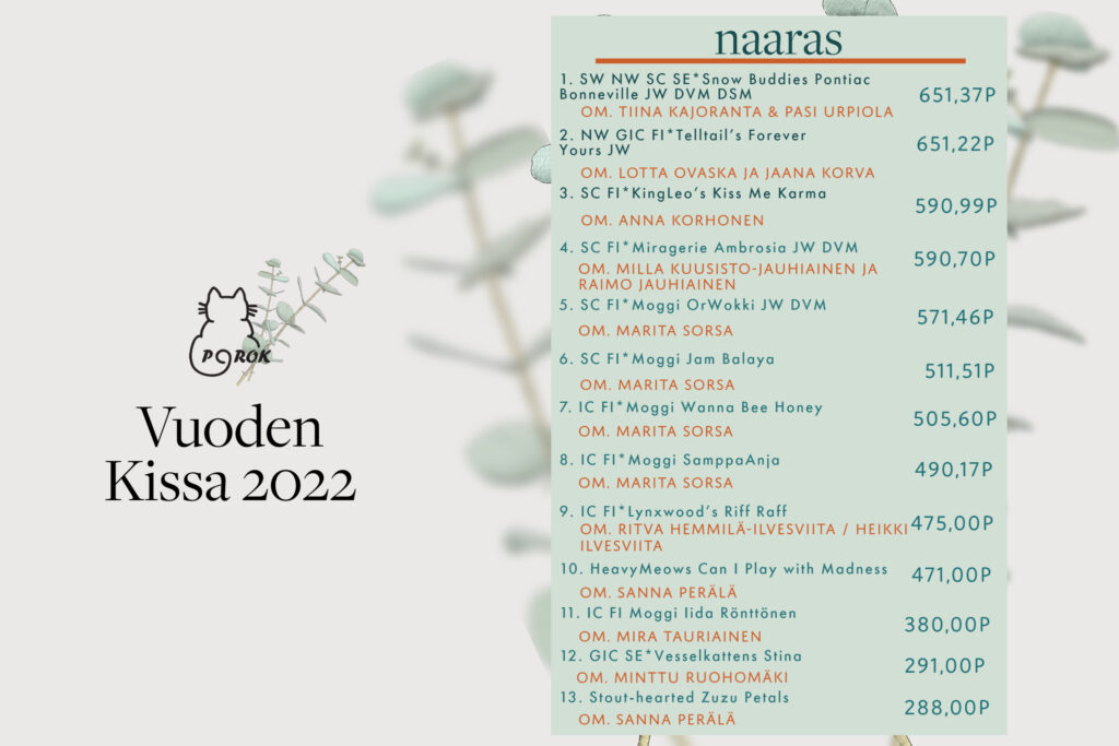 porok vuoden kissa 2022 naaras