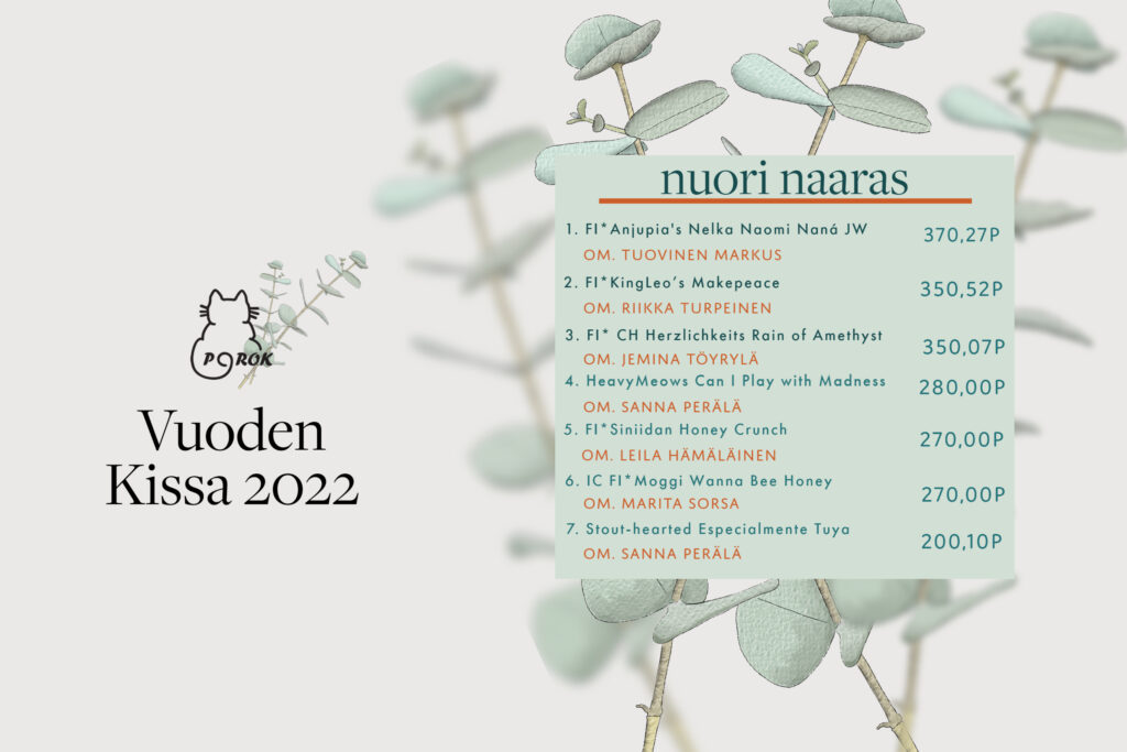 porok vuoden kissa 2022 nuori naaras