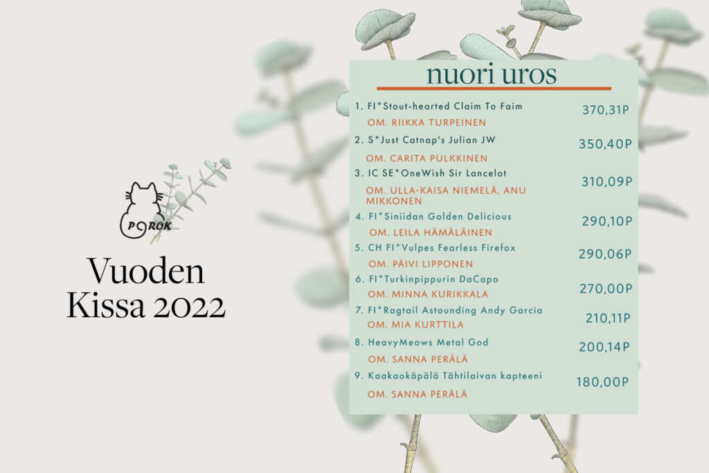 porok vuoden kissa 2022 nuori uros