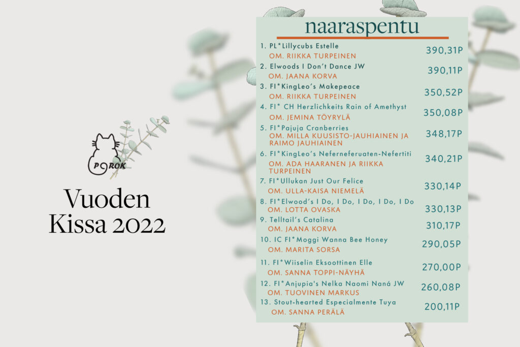 porok vuoden kissa 2022 naaraspentu