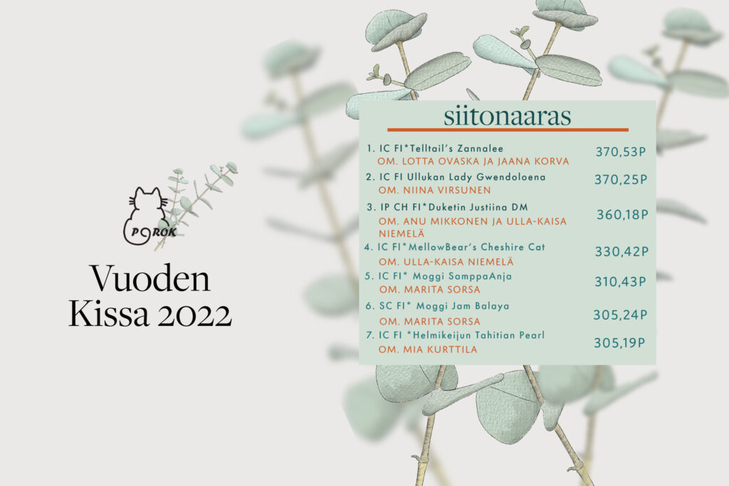 porok vuoden kissa 2022 siitosnaaras