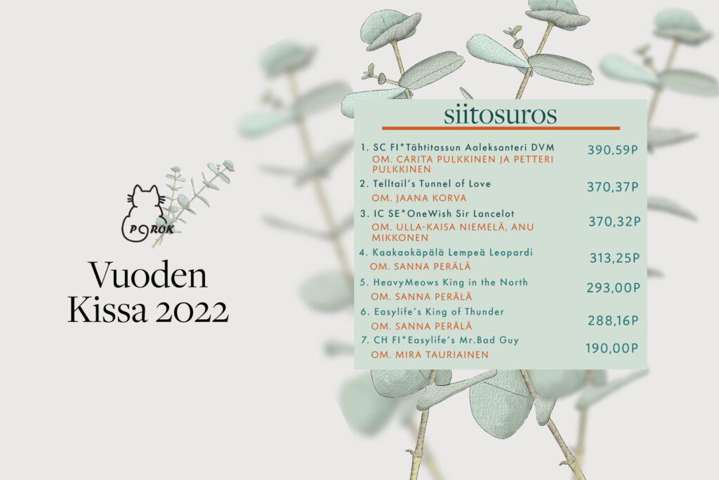 porok vuoden kissa 2022 siitosuros