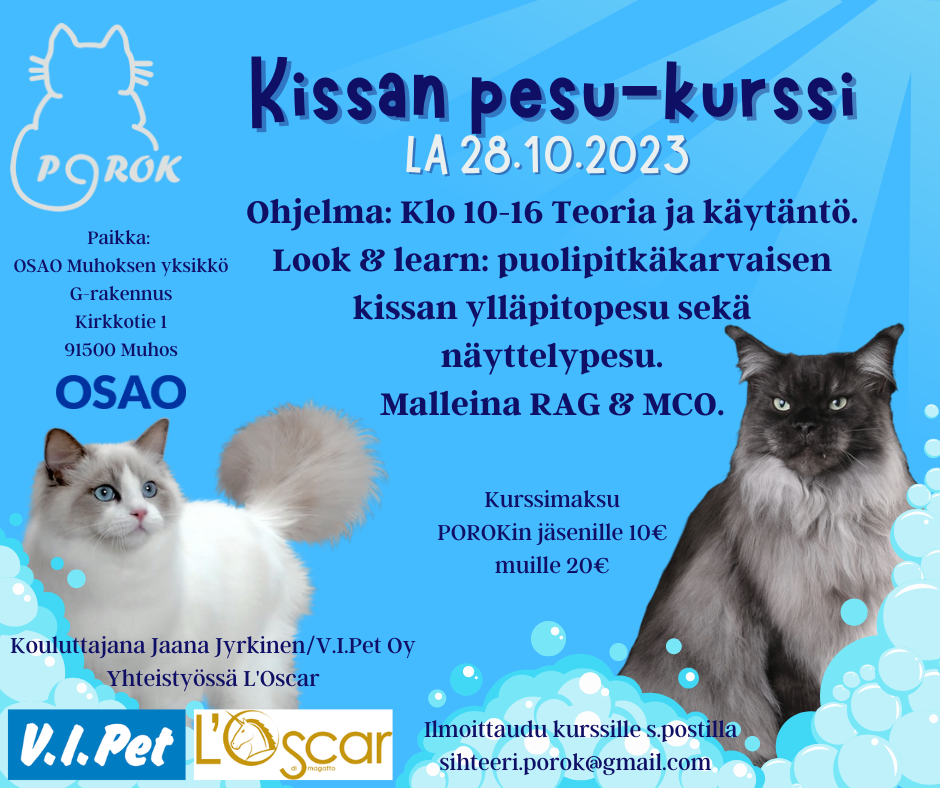 Kissan pesu-kurssi mainos