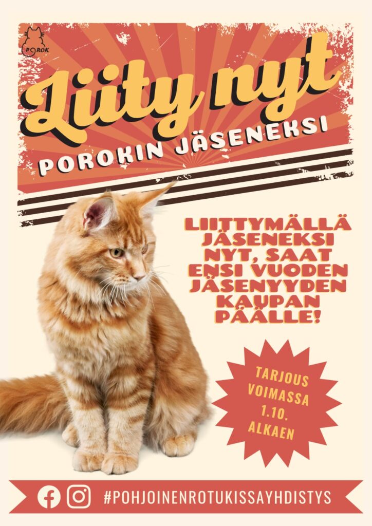 Porokin liittymisedut tarjous 2023