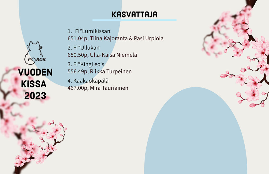 Pohjoinen Rotukissayhdistys vuoden kissa 2023