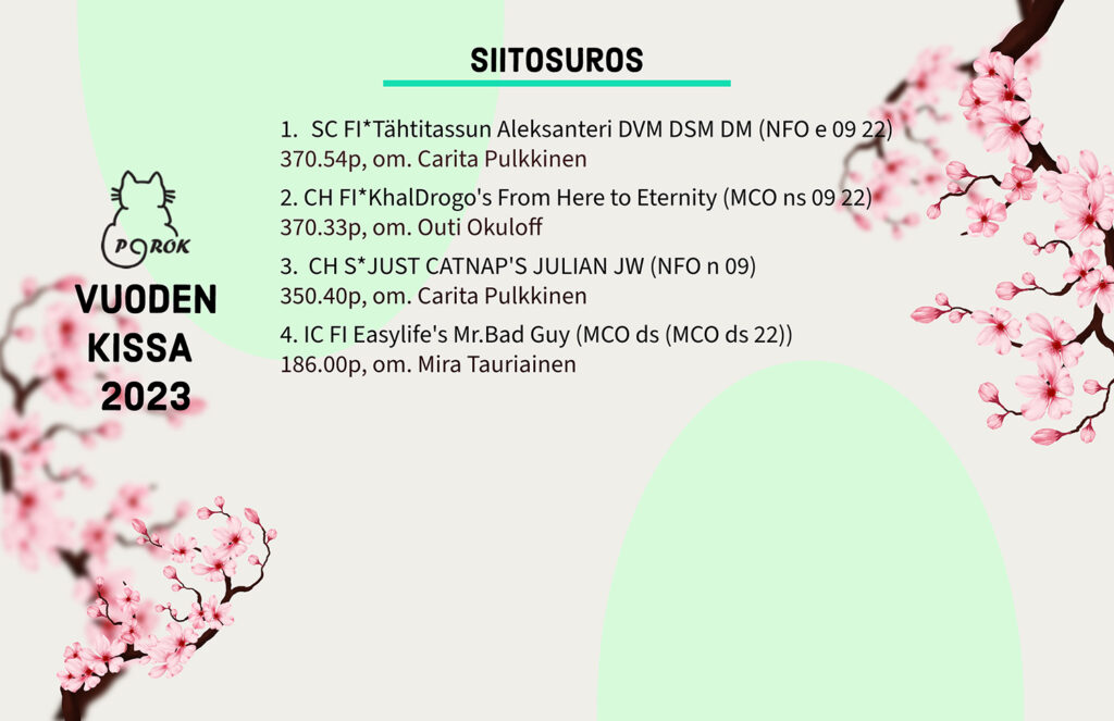 Pohjoinen Rotukissayhdistys vuoden kissa 2023