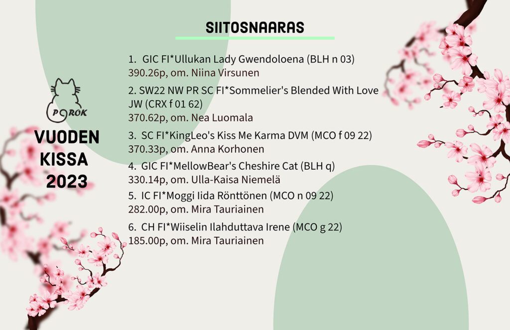 Pohjoinen Rotukissayhdistys vuoden kissa 2023