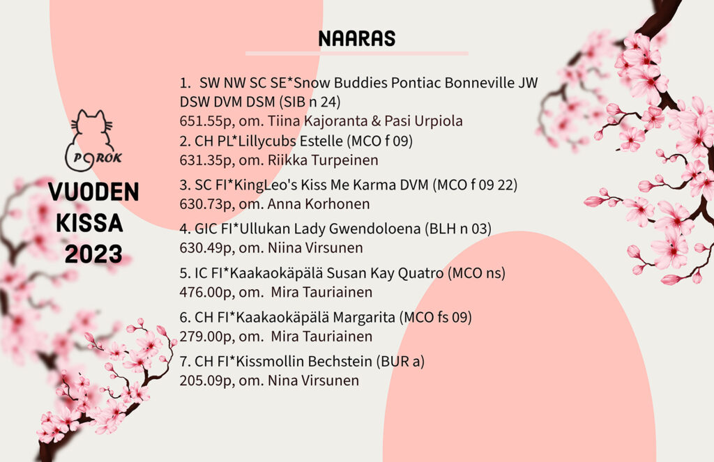 Pohjoinen Rotukissayhdistys vuoden kissa 2023