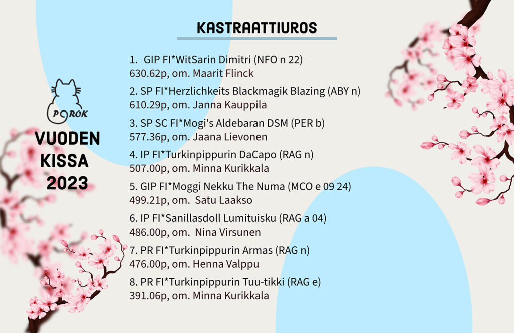 Pohjoinen Rotukissayhdistys vuoden kissa 2023