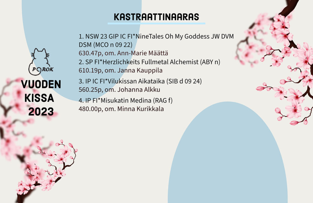 Pohjoinen Rotukissayhdistys vuoden kissa 2023