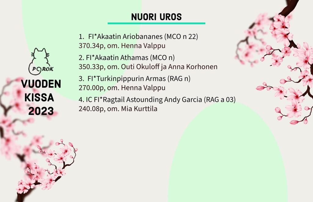 Pohjoinen Rotukissayhdistys vuoden kissa 2023