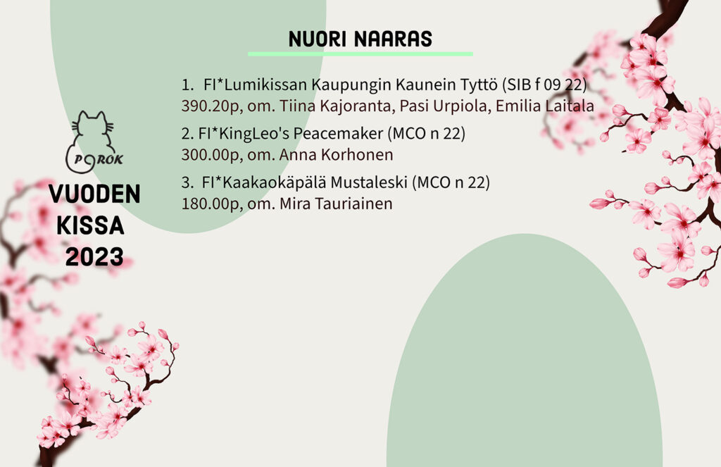 Pohjoinen Rotukissayhdistys vuoden kissa 2023