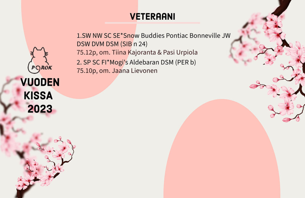 Pohjoinen Rotukissayhdistys vuoden kissa 2023
